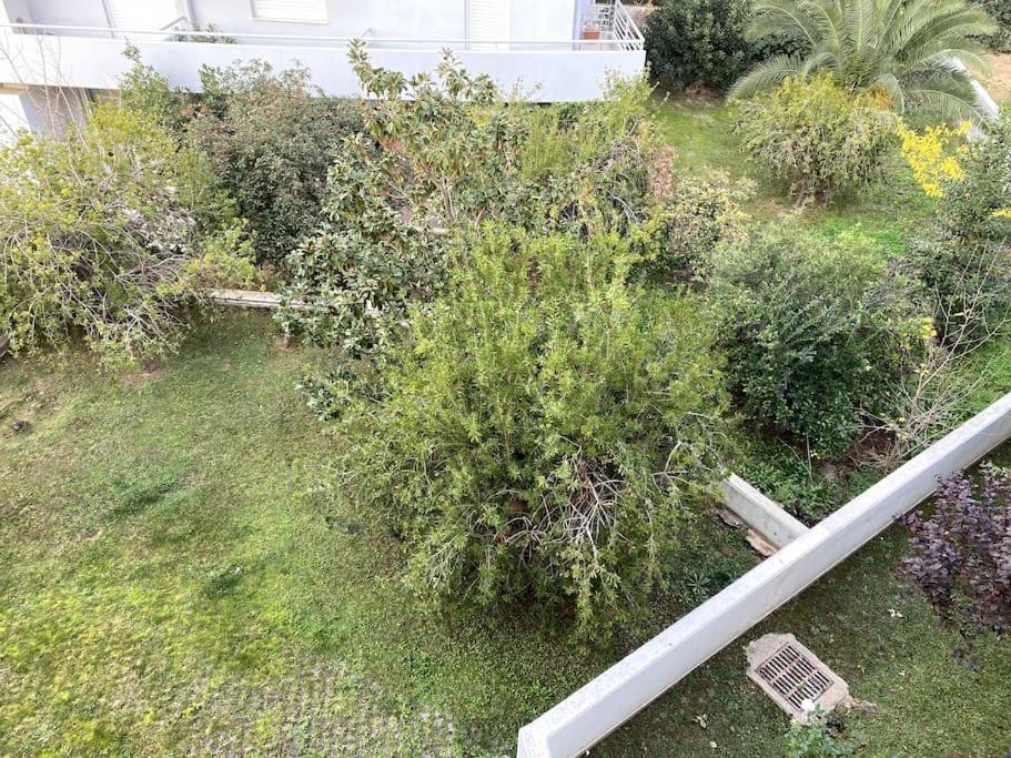 Spacious And Sunkissed 3Br & 2 Bathrooms Apartment Athen Exterior foto